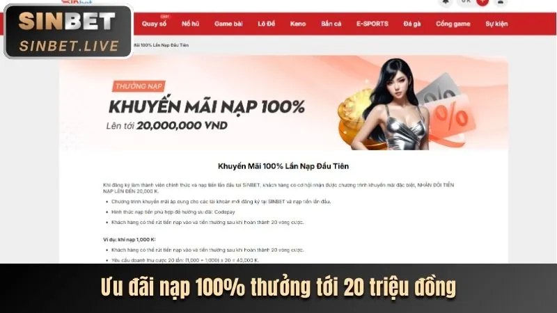 Biểu đồ tăng trưởng của sportsbet link mới